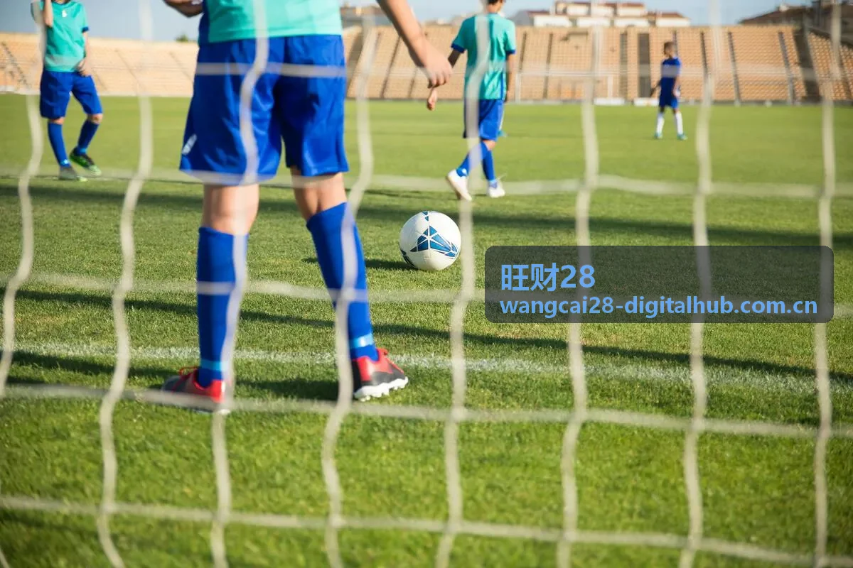 旺财28——数字内容选题与知识产品开发